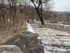 -阳台山自然风景区