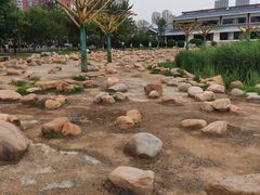 -绿岛公园(滨海新区)