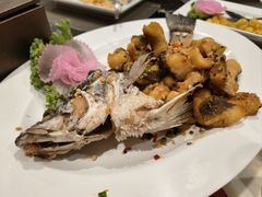 -光海鲜鱼翅餐厅(叻差拉披色路店)