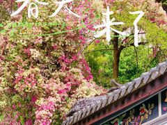 -深圳国际园林花卉博览园