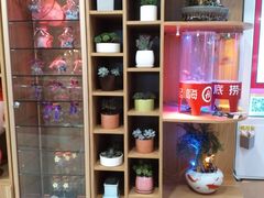 -海底捞火锅(石厦时代广场店)