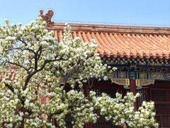 -故宫博物院(故宫)