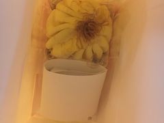 -檬舒舒MonChouChou(环球金融中心店)
