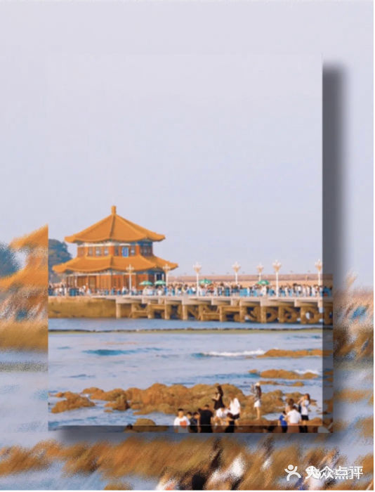 栈桥景区图片