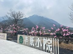 -中国宣纸文化园