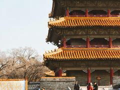 -北陵公园