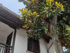 -蒋氏故居