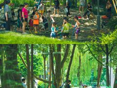 -成都市活水公园