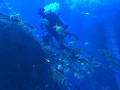 -成都浩海立方海洋公园