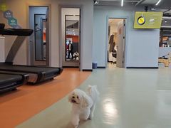 -ALIV WELLNESS运动健身(浦东大道店)