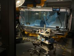 -奥兰多迪士尼动物王国乐园