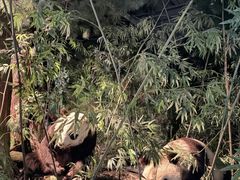-天津自然博物馆