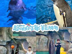 -威海华夏城景区