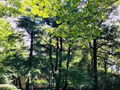 景点-华山儿童公园