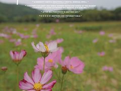 -黄山鲁森林公园