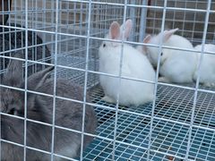 -有喜胶东小馆(超极合生汇太申祥和店)