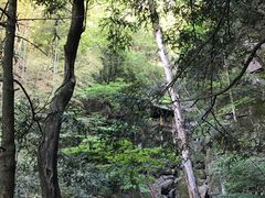 -藏龙百瀑风景区