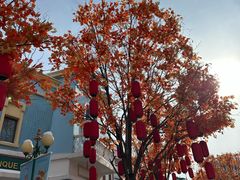 -沈阳方特欢乐世界