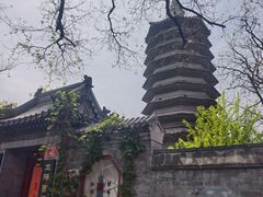 -正阳书局(西四南大街店)