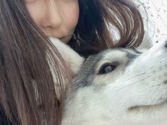 -Husky Go!哈士奇体验馆·宠物咖啡厅狗咖