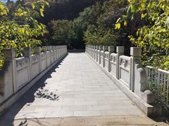 -白水寺森林公园