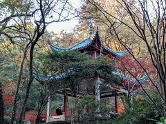 -岳麓山风景名胜区