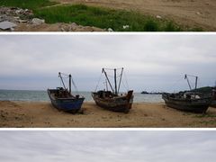-仙人岛