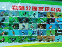 -昆山城市生态森林公园