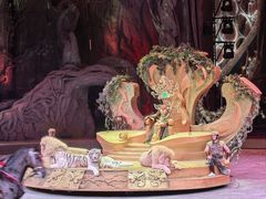 -广州长隆国际大马戏