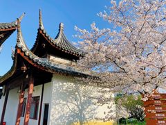 -苏州上方山国家森林公园