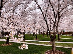 -龙美术馆西岸馆-停车场