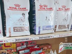 -中农大我爱我爱24h动物医院·中医针灸·猫专科·骨科医疗中心(双井店)