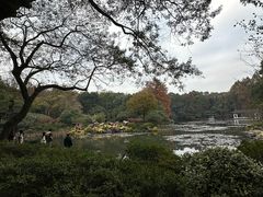 -杭州植物园