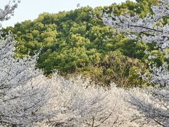 -团城山公园