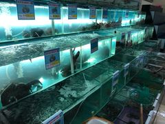 水产区-琼大师东方烤乳猪(亚特兰蒂斯店)