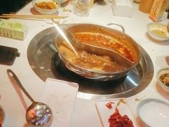 -潮牛岛·潮汕鲜切牛肉自助火锅(无锡首店)