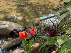 -广州白江湖森林公园