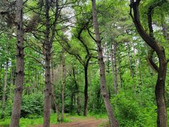 -长春市南湖公园