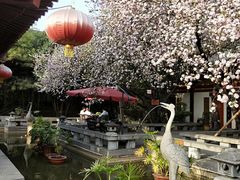 -大唐博相府酒店·陕西官府菜