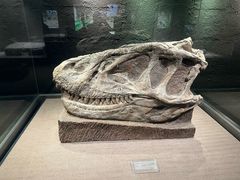 -自贡恐龙博物馆