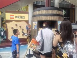 -乐高品牌旗舰店(人民广场店)