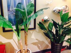 -永红源啤酒·烧烤·海鲜·大排档(青特城店)