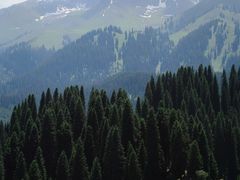 -新疆那拉提国家旅游度假区