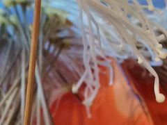 -二道GAI延安串串专营店(阳光城丽兹公馆店)