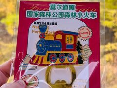 -莫尔道嘎国家森林公园