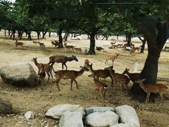 -西安秦岭野生动物园