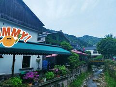 -随意茶庄·地道杭帮农家菜(梅家坞店)
