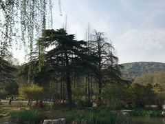 -习家池