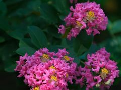 -杭州城北体育公园