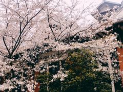 -上海交通大学医学院附属瑞金医院(总院)